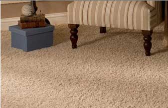 Carpepiso Comércio De Pisos E Revestimentos - Foto 1