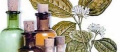 Farmácia Homeopática Jorge Castro