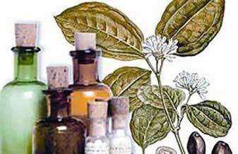Farmácia Homeopática Jorge Castro - Foto 1