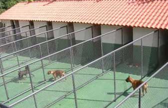 Ambulatório Veterinário E Hotel Recanto Dos Animais - Foto 1