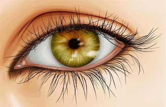 Olhoterapia.com.br – Iridologia e Naturopatia - Foto 1