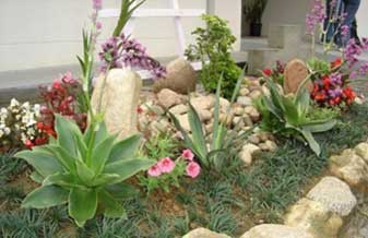 Hl Jardinagem - Foto 1