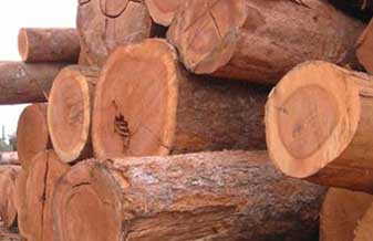 Madeireira Madesul - Foto 1