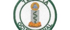 Zenn Terapeuta