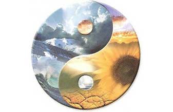 Luotaki – Terapia Holística - Foto 1