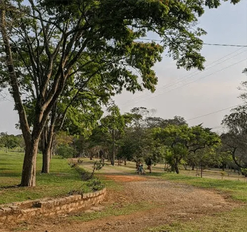 Parque Cemucam - Foto 2