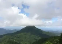 Parque Estadual do Morro Grande