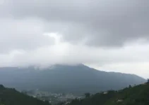 cotia previsão do tempo