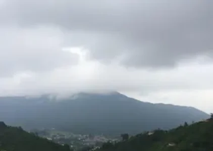 Últimas noticias de Cotia