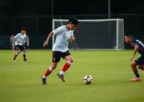 Cotia