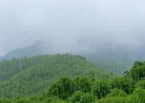 pancadas de chuva em Cotia