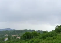 Cotia deve ter um dia com pancadas leves neste domingo