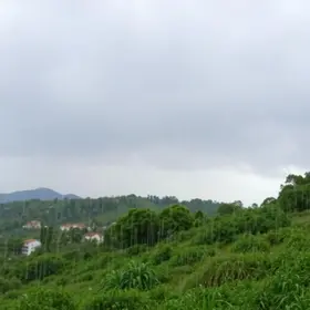 Cotia deve ter um dia com pancadas leves neste domingo