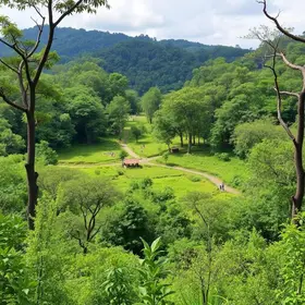 revitalização do Parque Ecológico Cotia-Pará
