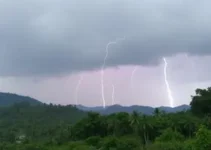 Cotia raios e trovões