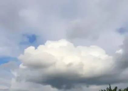 Últimas noticias de Cotia