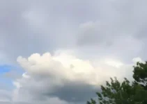 Cotia deve ter um dia de céu nublado nesta terça-feira