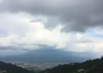 Cotia