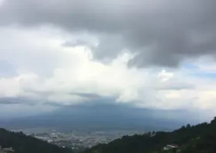 Cotia