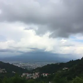Cotia