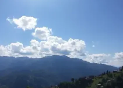 Cotia deve ter um dia com sol entre poucas nuvens