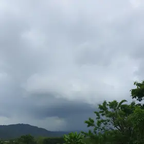 Cotia clima