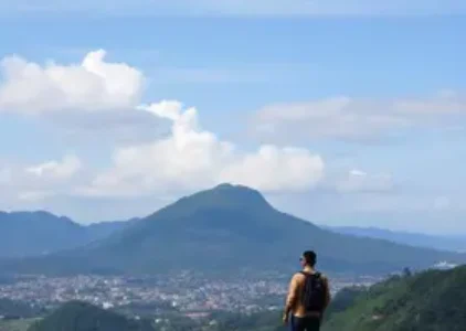 Últimas noticias de Cotia