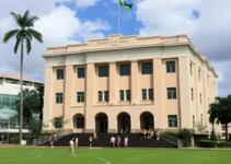Prefeitura de Cotia terá expediente reduzido em dias de jogos do Brasil na Copa