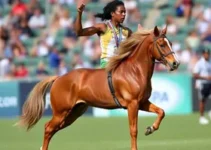 vice-campeonato no Campeonato Brasileiro de Karatê