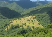 Parque Cemucam