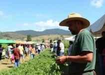 1ª FeiAgro