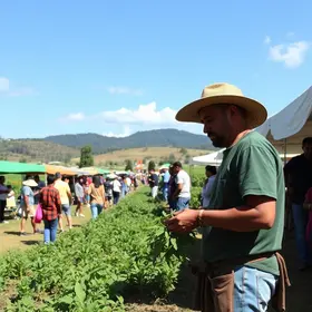 1ª FeiAgro