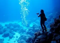Canta Cotia