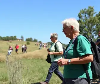 Caminhada Dia da Pessoa Idosa Cotia