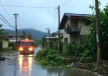 Cotia em situação de emergência